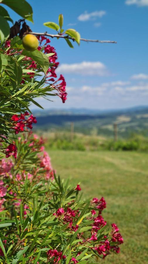 Il Nido Apartamento Volterra