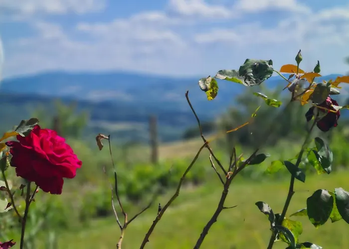 Appartamento Il Nido