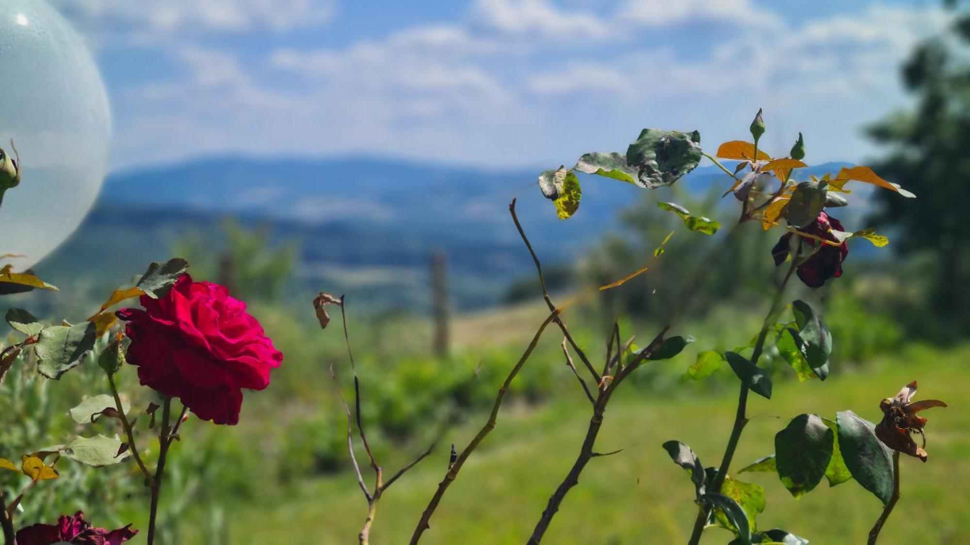 Apartment Il Nido Volterra